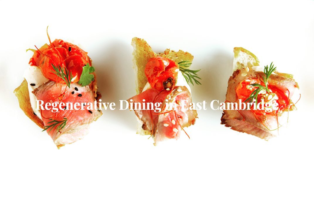 Sample "Regenerative Dining" With Takeout From Senses Cambridge