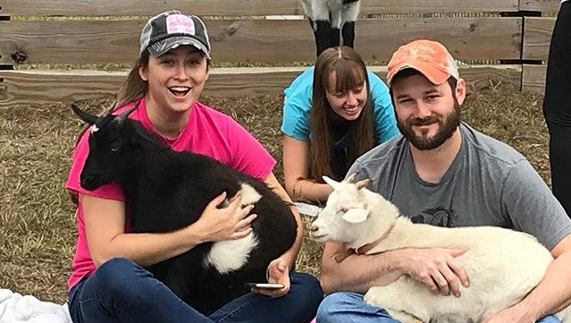 Social Distance With Goats In Georgetown