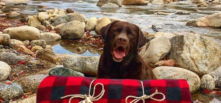 The Thoughtful Holiday Gift That Helps Boston’s Homeless Community