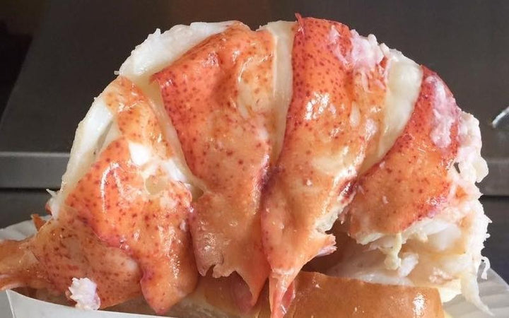 A Lobster Expert Lists New England's 10 Best Lobster Rolls