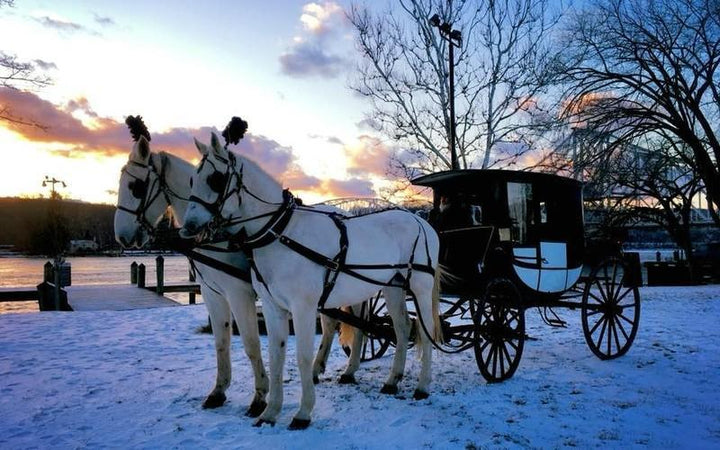 Take An Old Fashioned Winter Sleigh Ride At This CT Farm
