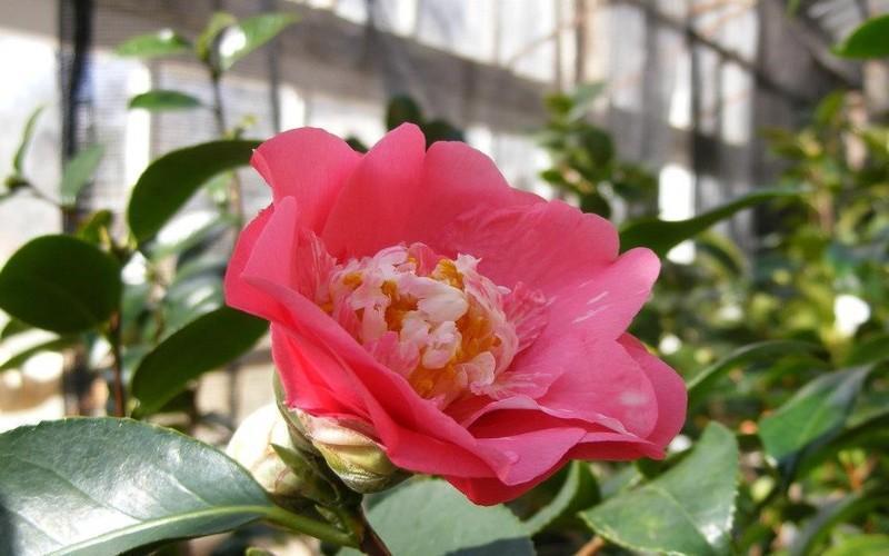 5 New England Indoor Gardens For A Taste Of Spring Amid The Snow