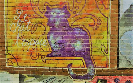 There Is A Public Art Gallery Devoted To Cats In This NH Alleyway