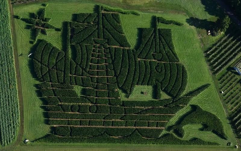 This Maine Corn Maze Was Just Named The Best In The Country