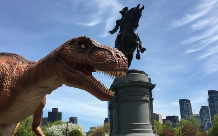 Visit Boston's Own Jurassic Park At The Franklin Park Zoo