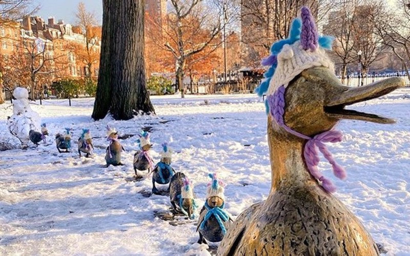 Boston Knitwear Company Outfits Duckling Statues With Unicorn Beanies