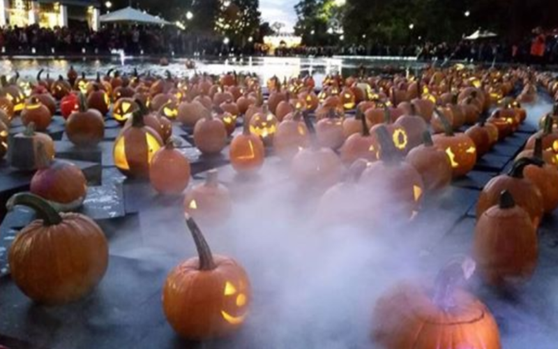 Bring The Kids To The Family-Friendly Fall Pumpkin Float