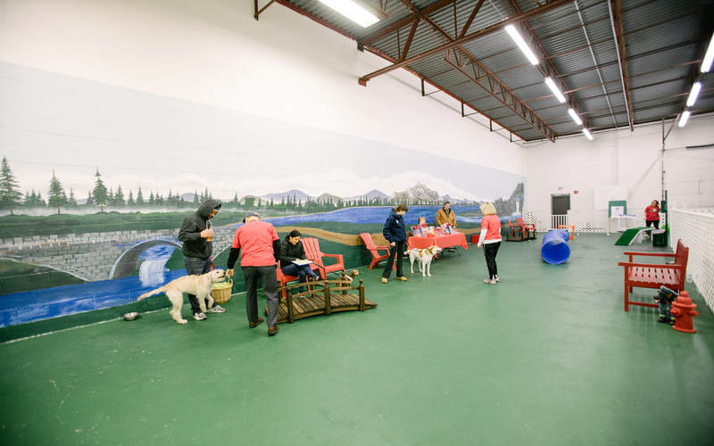 When The Weather Is Extreme, Exercise Your Pup At This Indoor Dog Park