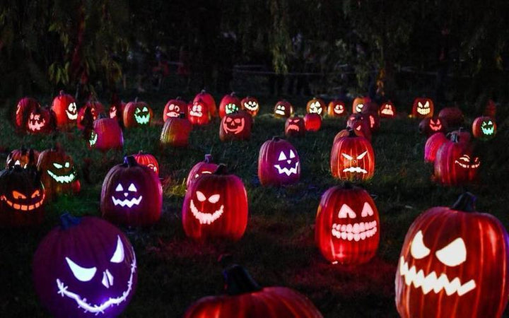View 5,000 Illuminated Pumpkins At The Franklin Park Zoo This Fall