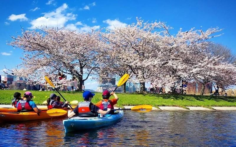 Paddle Boston Offers Stunning Kayak Tours Of The City Skyline