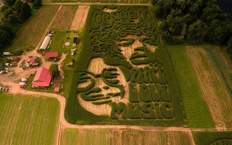 Woodstock Themed Corn Maze "Crops" Up In Sunderland