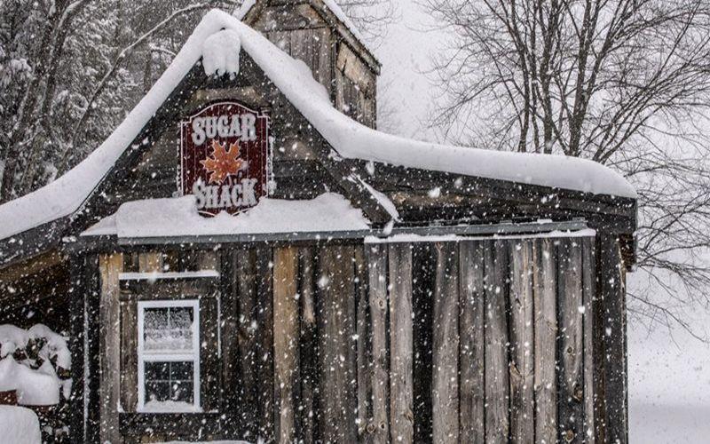 Celebrate Maple Month With A Horse Drawn Maple Express Tour
