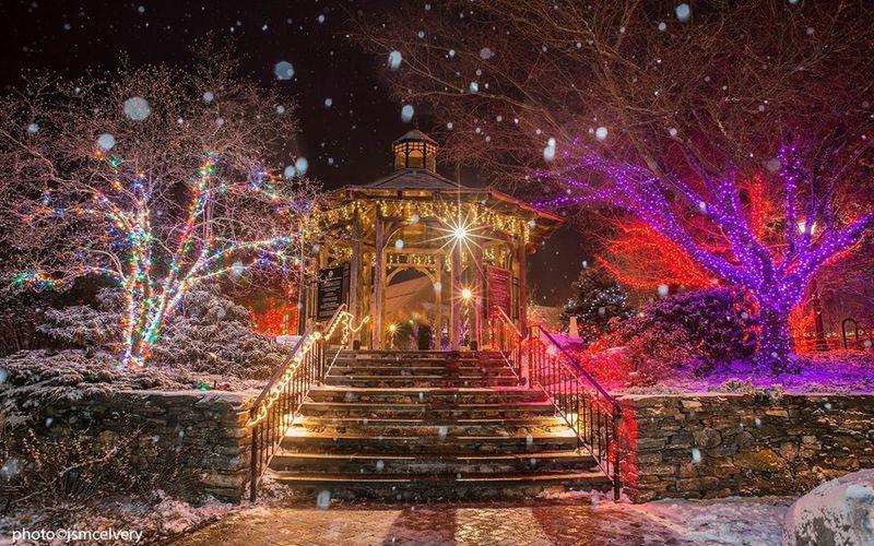 "Night Lights" At This Botanical Garden Is A Magical Experience For All