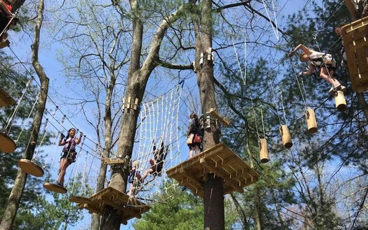 Close Out Your Summer With A Family-Friendly Treetop Adventure