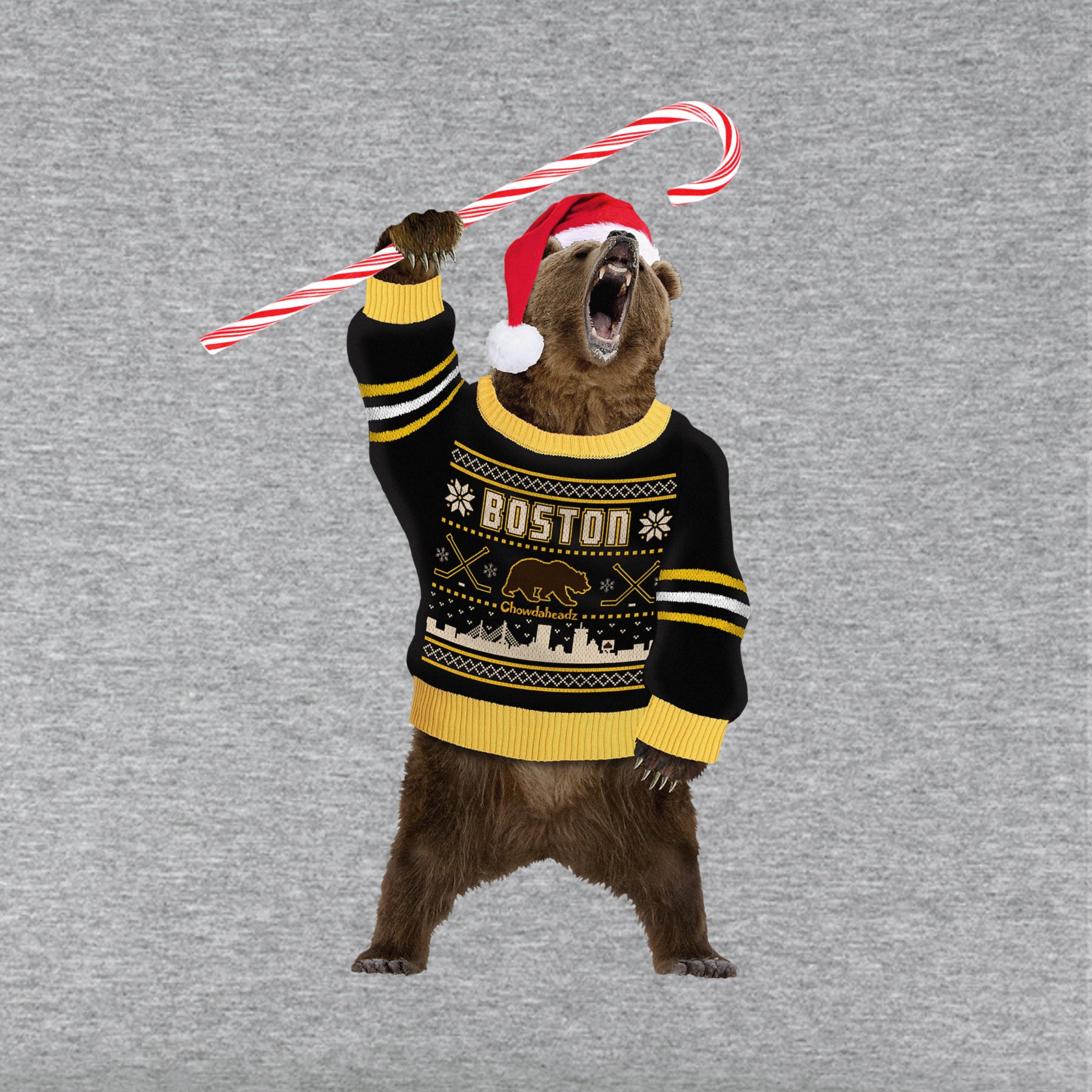 Boston Holiday Sweater Bear Youth Hoodie - Chowdaheadz