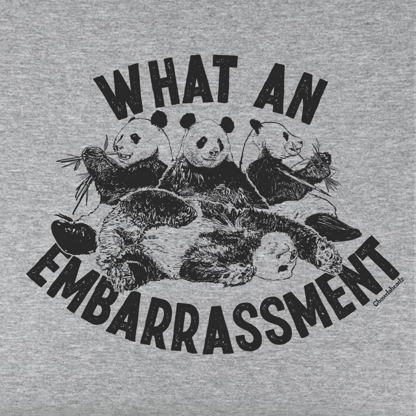 What An Embarrassment Youth Hoodie - Chowdaheadz
