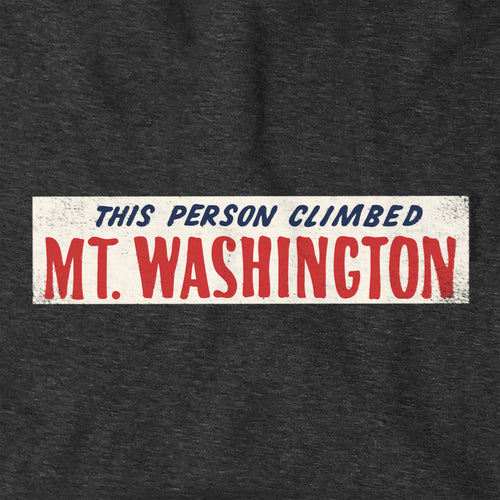This Person Climbed Mt. Washington Hoodie - Chowdaheadz