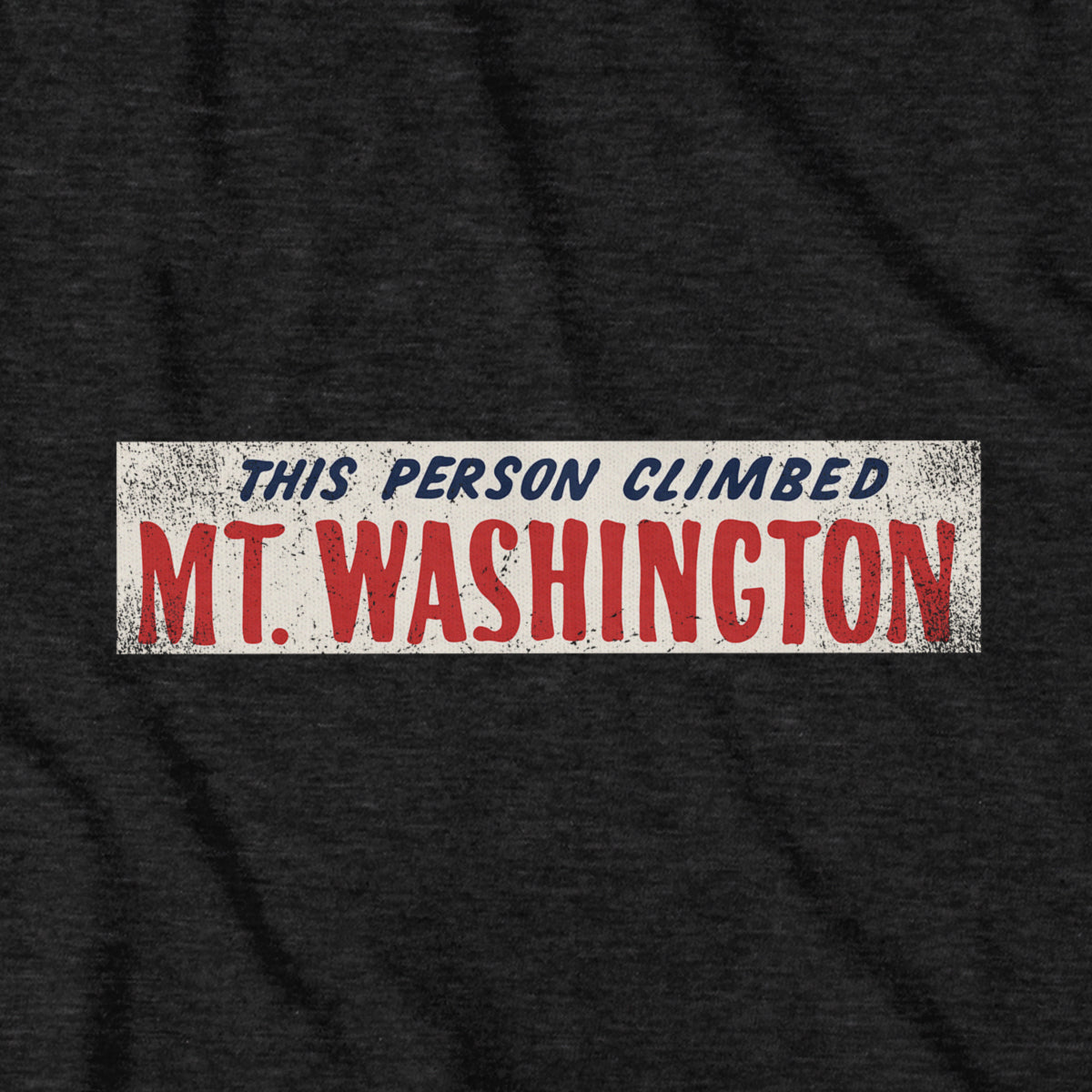 This Person Climbed Mt. Washington T-Shirt - Chowdaheadz