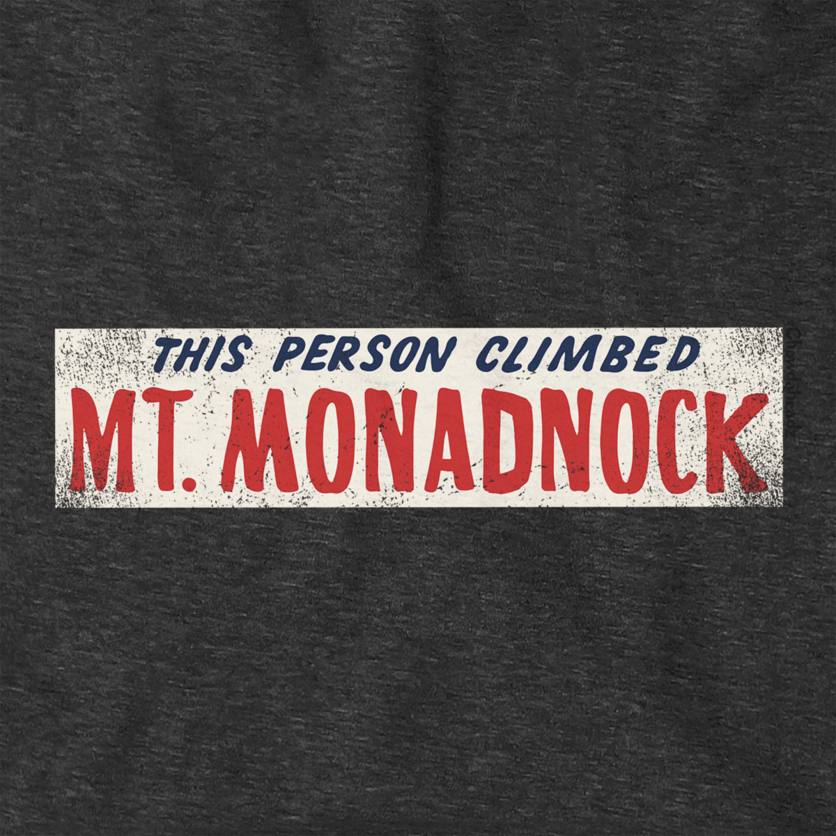 This Person Climbed Mt. Monadnock Hoodie - Chowdaheadz