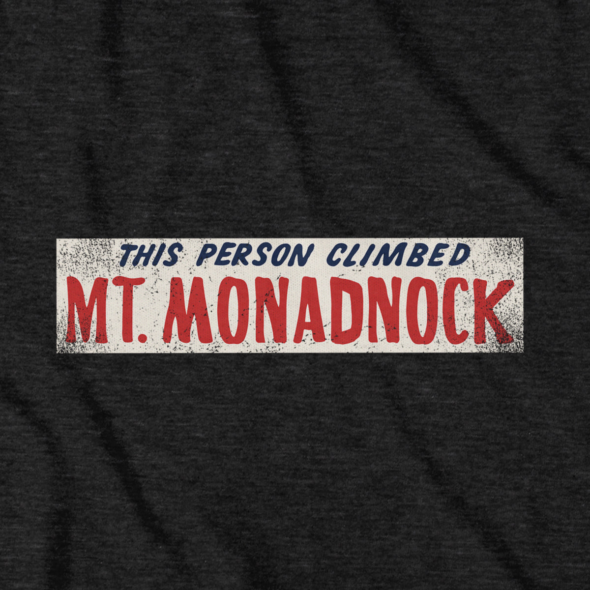This Person Climbed Mt. Monadnock T-Shirt - Chowdaheadz
