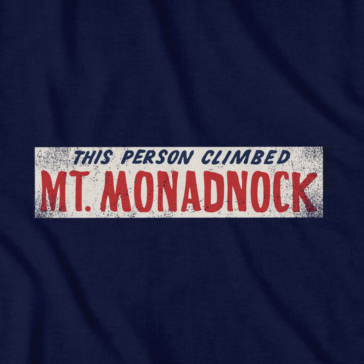 This Person Climbed Mt. Monadnock T-Shirt - Chowdaheadz