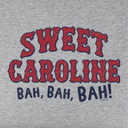 Sweet Caroline Baseball Arch Youth T-Shirt - Chowdaheadz