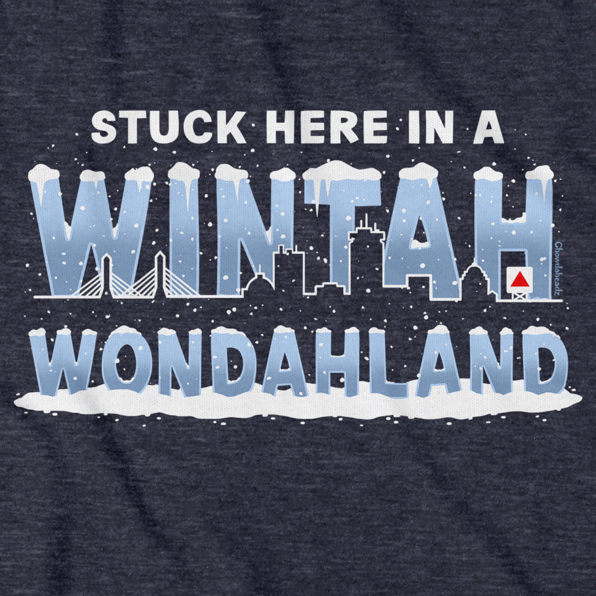 Stuck Here In A Wintah Wondahland Hoodie - Chowdaheadz