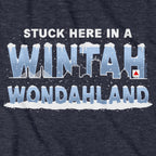 Stuck Here In A Wintah Wondahland Hoodie