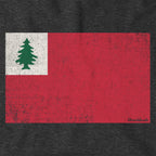 Vintage New England Flag Hoodie