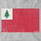 Vintage New England Flag Hoodie