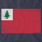 Vintage New England Flag Hoodie