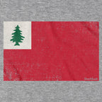 Vintage New England Flag T-Shirt