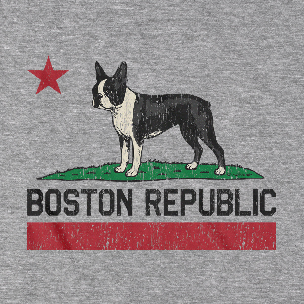 Boston Republic Terrier T-Shirt - Chowdaheadz