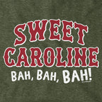 Sweet Caroline Baseball Arch Hoodie