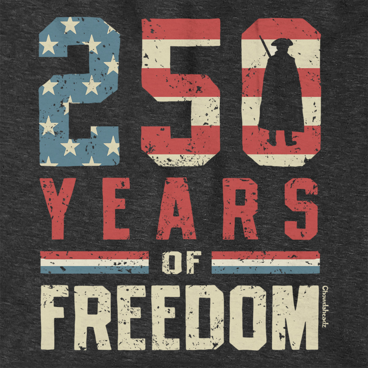 Close-up of 250 Years of Freedom hoodie in charcoal — flag-and-stars graphic detail