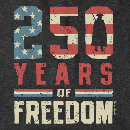 Close-up of 250 Years of Freedom hoodie in charcoal — flag-and-stars graphic detail