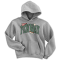 Youth Hoodie in Gray with Fenway Arch Baseball Icons design