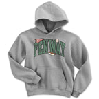 Youth Hoodie in Gray with Fenway Arch Baseball Icons design