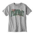 Youth T-Shirt in Gray with Fenway Arch Baseball Icons design