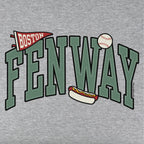 Fenway Arch Baseball Icons Youth hoodie graphic detail in Gray