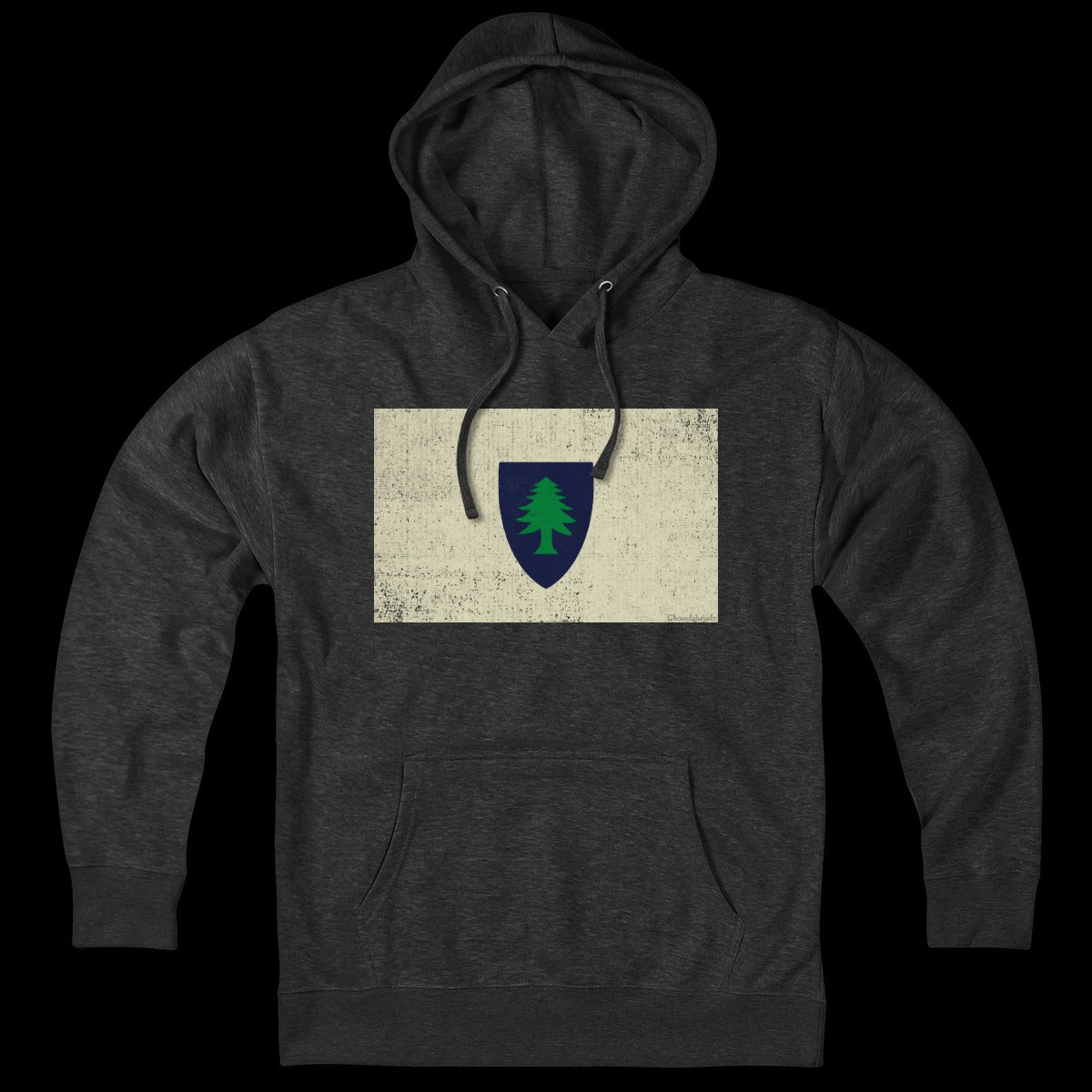Vintage Massachusetts Flag Hoodie