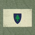 Vintage Massachusetts Flag Hoodie