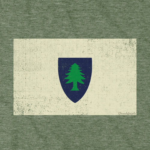 Vintage Massachusetts Flag Hoodie