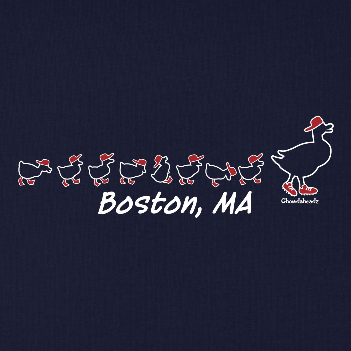Boston Ducks on the Common Youth Hoodie - Chowdaheadz