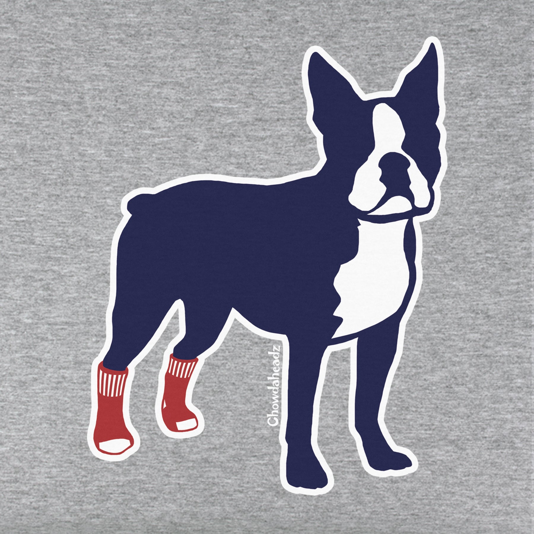 Socks on Boston Terrier Youth Hoodie - Chowdaheadz