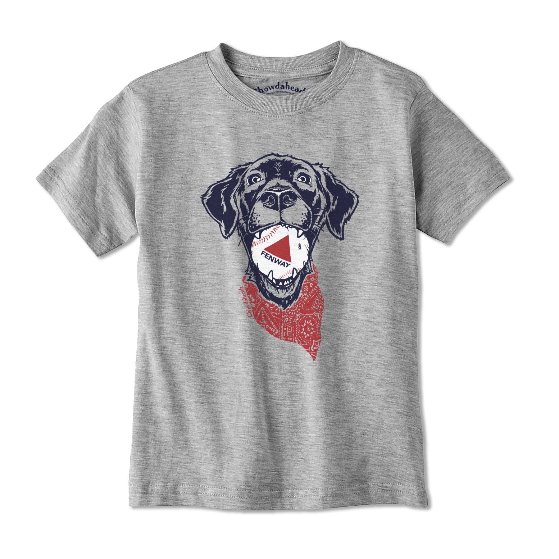 Fenway Dog Youth T-Shirt - Chowdaheadz