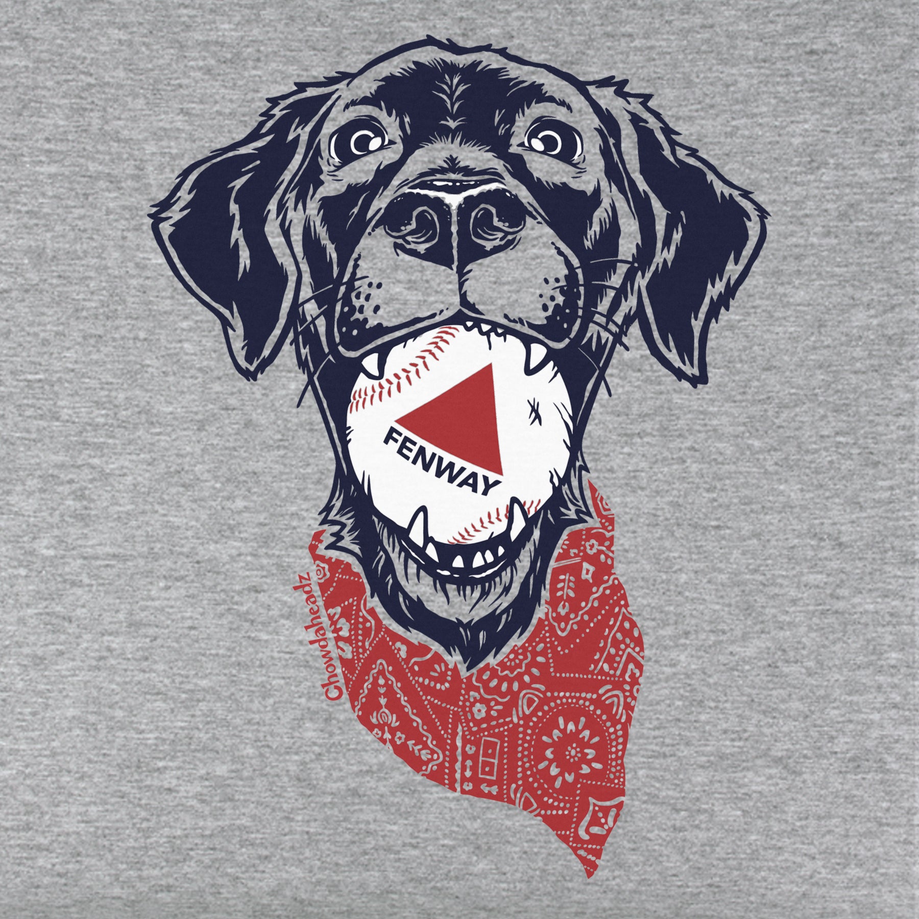 Fenway Dog Youth T-Shirt - Chowdaheadz
