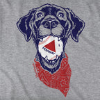 Fenway Dog Tailgater Hoodie - Chowdaheadz