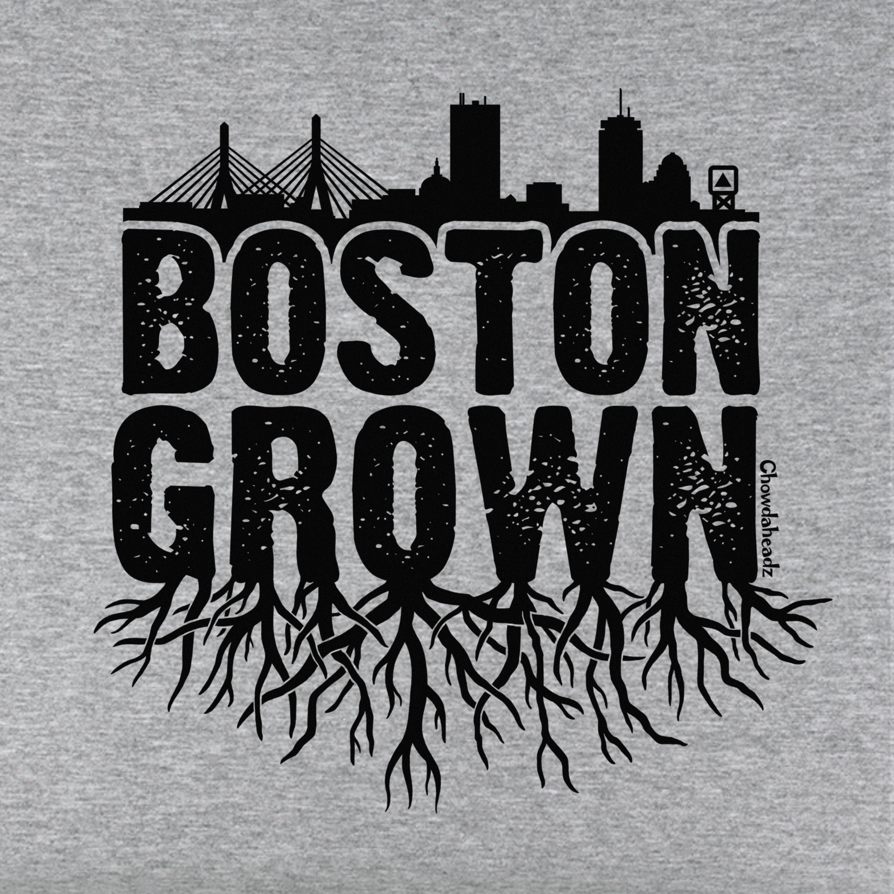 Boston Grown Youth Hoodie - Chowdaheadz