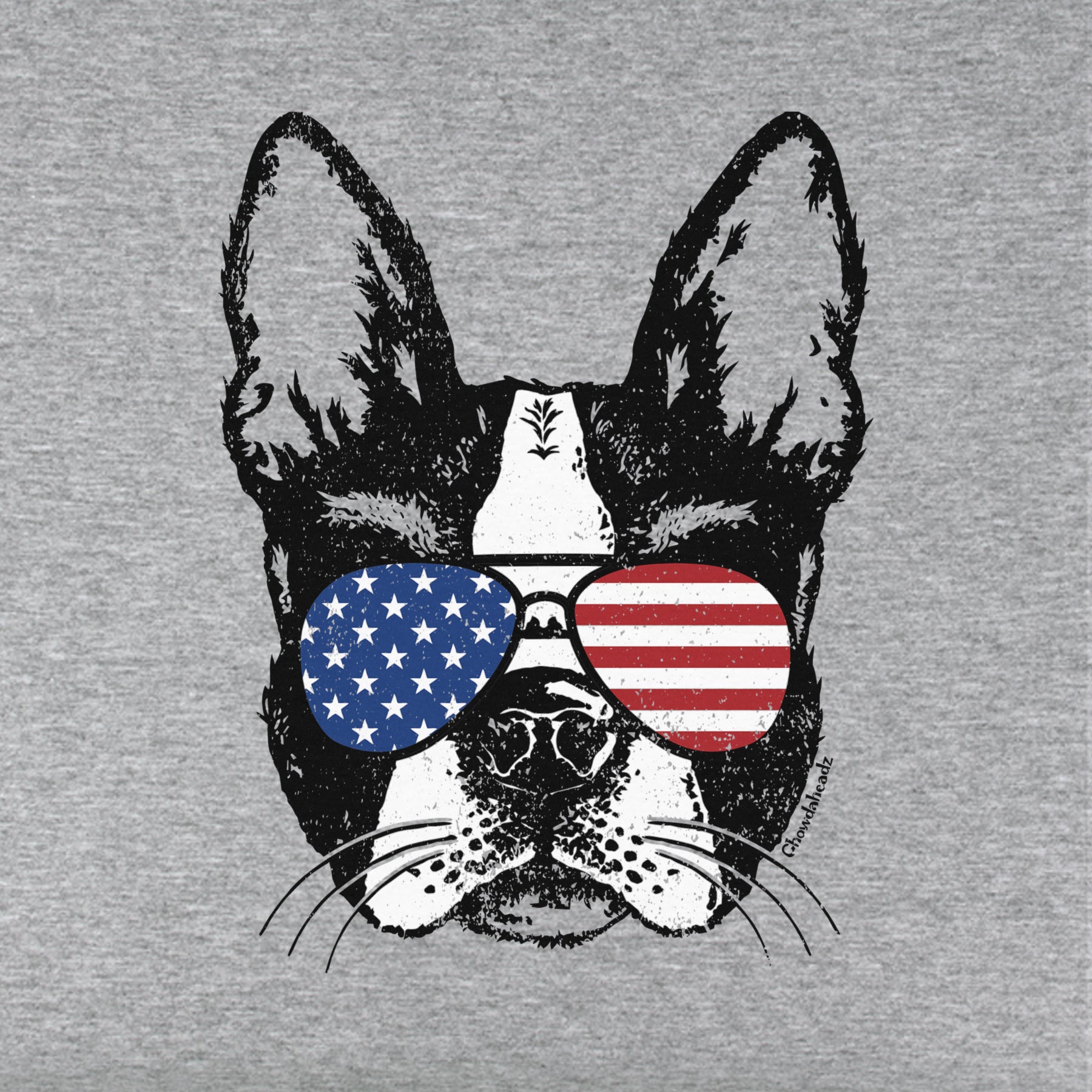 Patriotic Boston Terrier Youth T-Shirt - Chowdaheadz